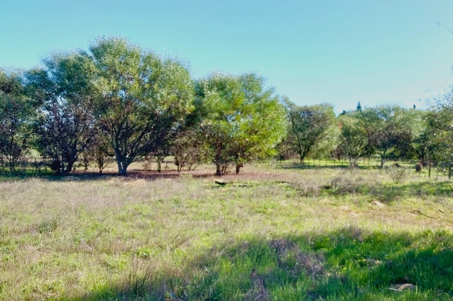 0 Bedroom Property for Sale in Tierfontein AH Western Cape